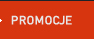 Promocje > Pogotowie komputerowe Szamotu�y Naprawa Serwis komputerowy, informatyk Szamotu�y, Wromki, Obrzycko, Ostror&oacute;g, Oborniki Wielkopolskie, Pniewy, Duszniki, Ka�mierz
